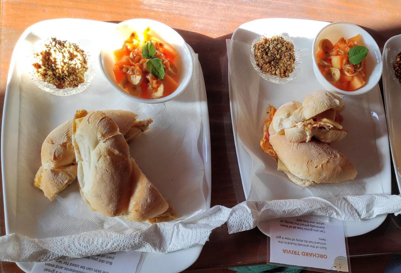 Quinta Minuvida Otel Rabo de Peixe Dış mekan fotoğraf
